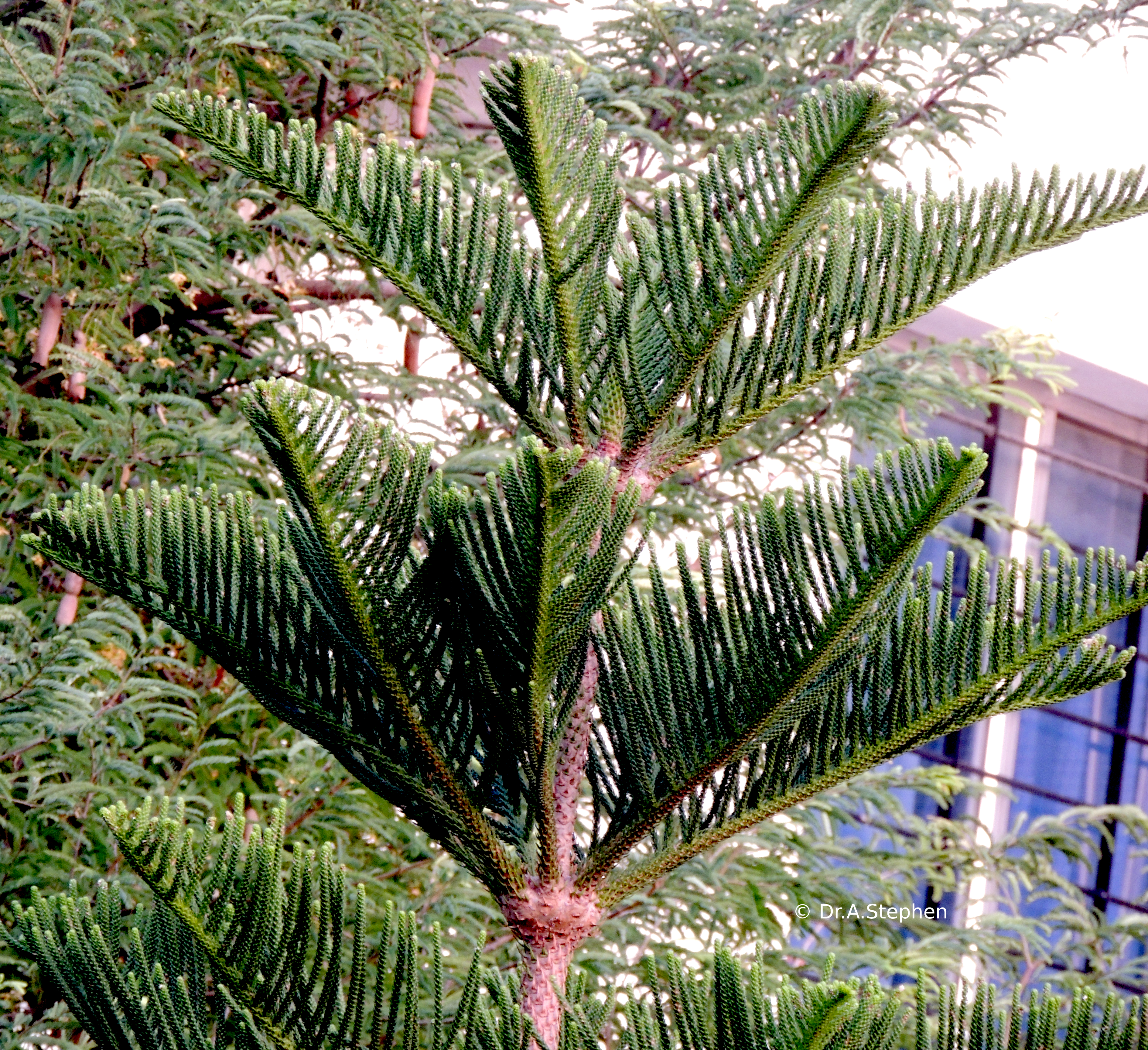 View 2