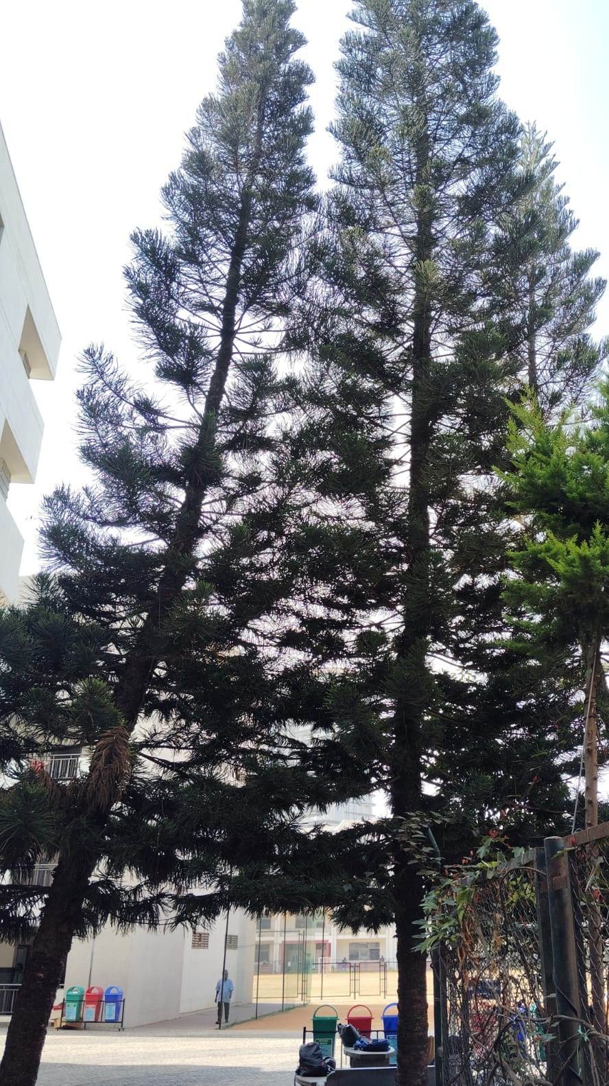 View 3